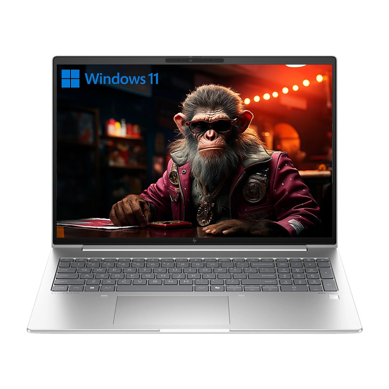 NOT. HP EliteBook 660 G11 Intel Core Ultra 7 155U 16GB 1TB 16Inch HDMI DP 2USB-C 2USB W11-Pro Silver