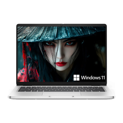 NOT. DELL PRO 14 PC14250 Ultra7-255U 16GB 512GB-M.2 14Inc-FHD+ W11Pro Silver 3YB