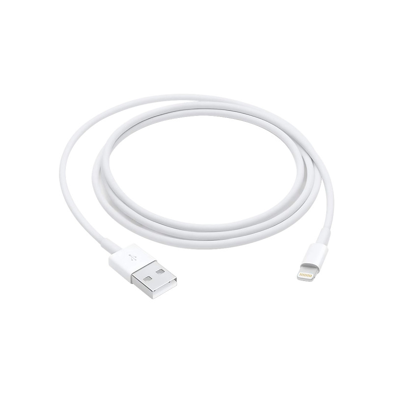 Cable Apple Lightning a USB 2.0 3.3ft