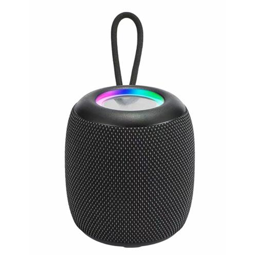 Parlante Wireless BT WS-309  Mini  2