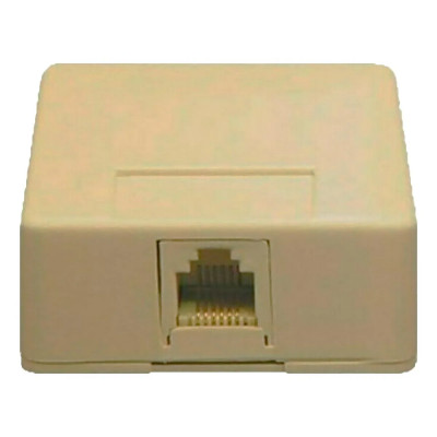 BISCUIT JACK SURFACE MOUNT 6P6C IVORY