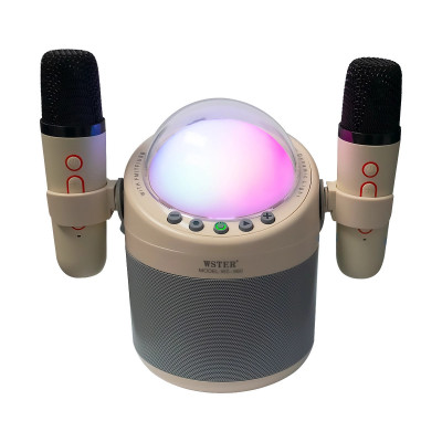 PARLANTE KAROKE DINAMIC LIGHT WIRELESS 2MIC WS-960 BAIGE