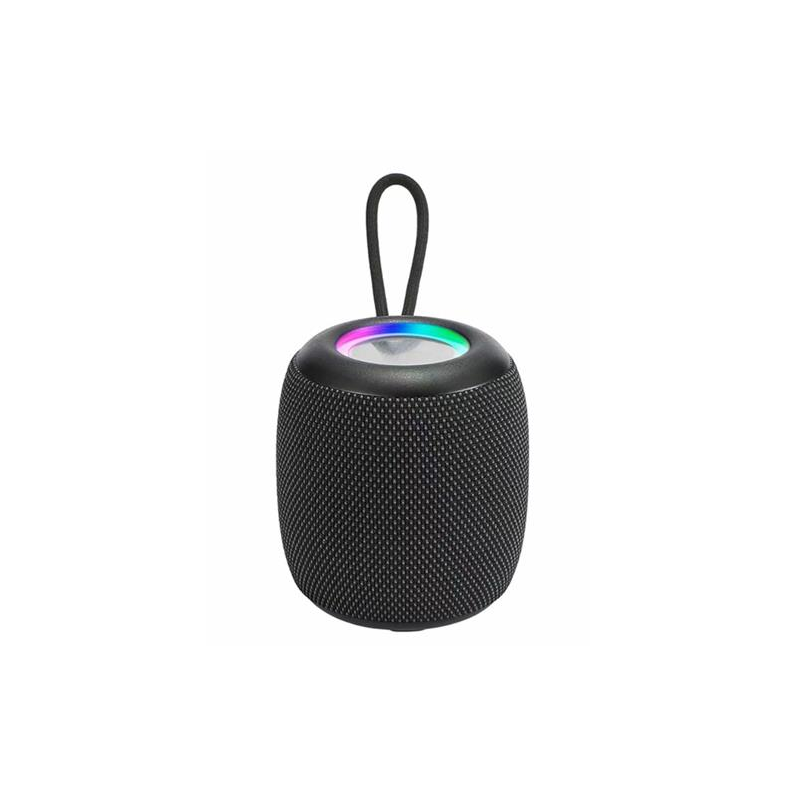 Parlante Wireless BT WS-309  Mini 