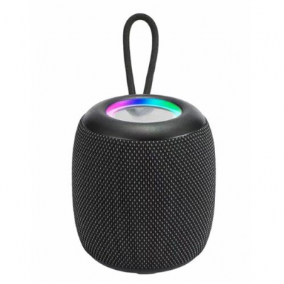 Parlante Wireless BT WS-309  Mini 