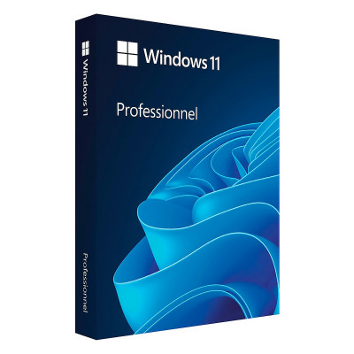 MICROSOFT WINDOWS 11 PRO OEM