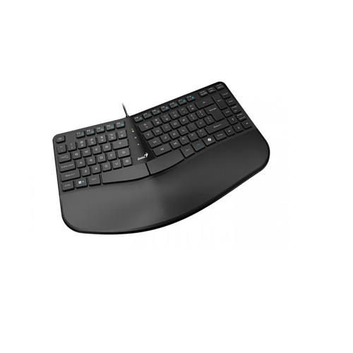 TECLADO GENIUS ERGONOMICO CON PALMA DESCANSAR/NEGRO