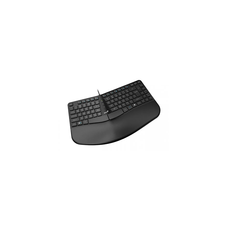 TECLADO GENIUS ERGONOMICO CON PALMA DESCANSAR/NEGRO