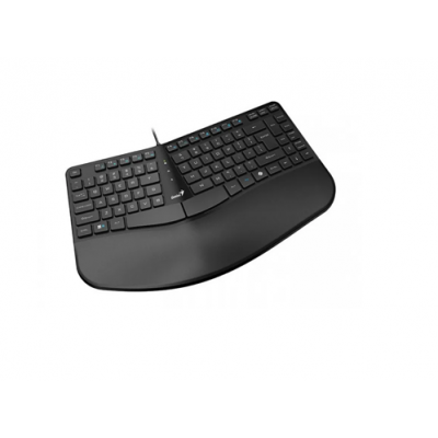 TECLADO GENIUS ERGONOMICO CON PALMA DESCANSAR/NEGRO